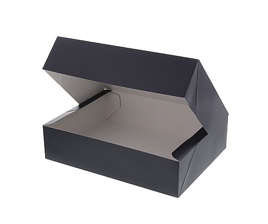 ギフト箱　コンボックス　SF-55　無地　10枚