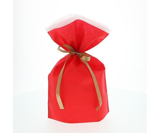 不織布リボン付巾着袋　FK3073　レッド　M　10枚