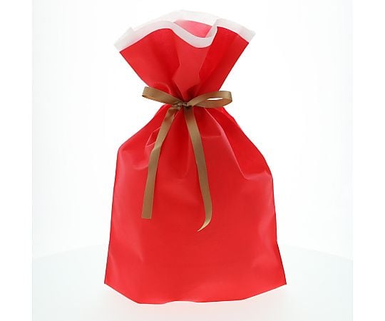 不織布リボン付巾着袋　FK3072　レッド　L　10枚