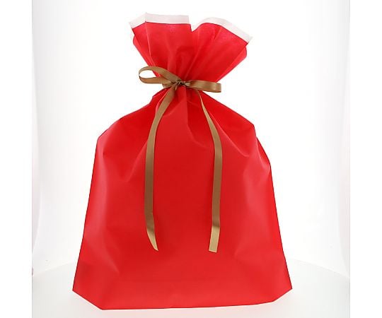 不織布リボン付巾着袋　FK3071　レッド　LL　10枚