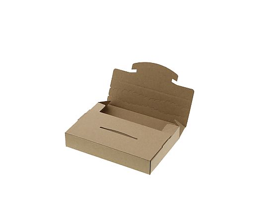 ダンボール　ラクポスBOX　160-30　10枚