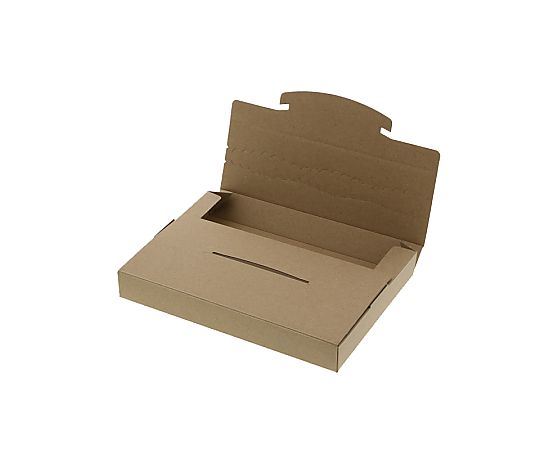 ダンボール　ラクポスBOX　215-30　10枚