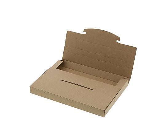 ダンボール　ラクポスBOX　240-25　10枚