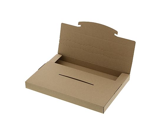 ダンボール　ラクポスBOX　265-25　10枚