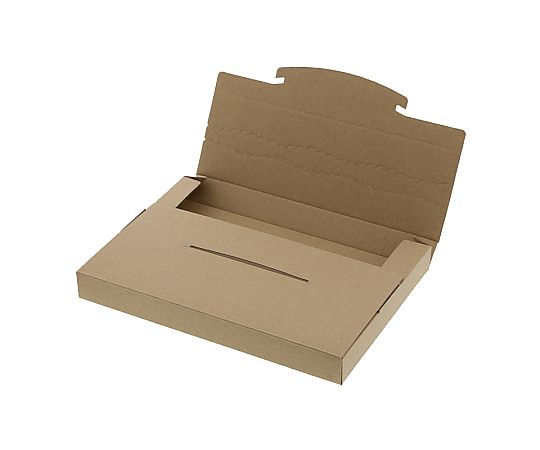 ダンボール　ラクポスBOX　265-30　10枚