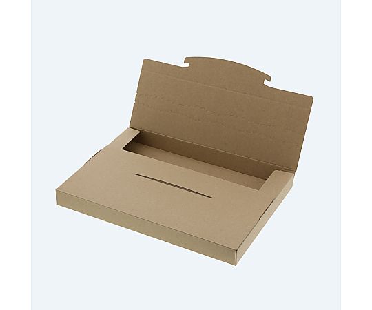 ダンボール　ラクポスBOX　305-30　10枚