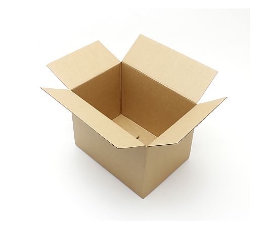 段ボール　ワンタッチ式　A4用-220　20枚