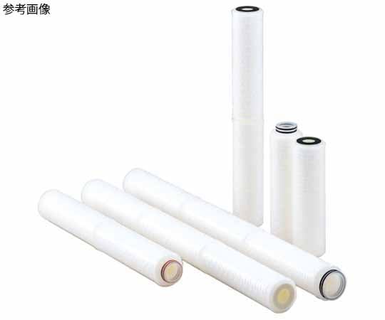 ADVANTEC (アドバンテック) カプセルカートリッジフィルター CCP-010AM-E1D (41306121) ADVANTEC (アドバンテック) カプセルカートリッジフィルター CCF-100