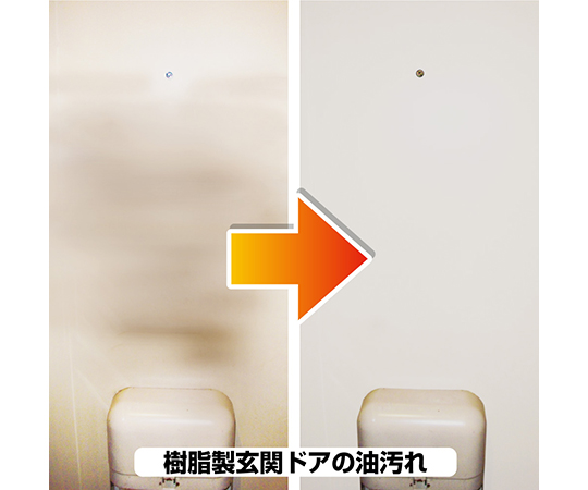 復活洗浄剤　玄関ドア用　100mL　17660092100