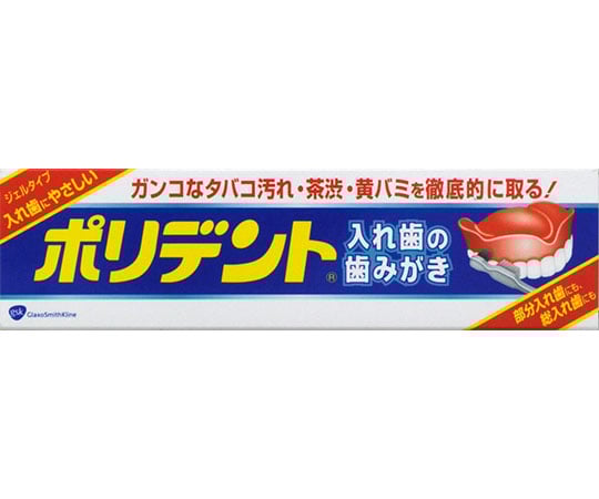 ポリデント　入れ歯の歯みがき　95g