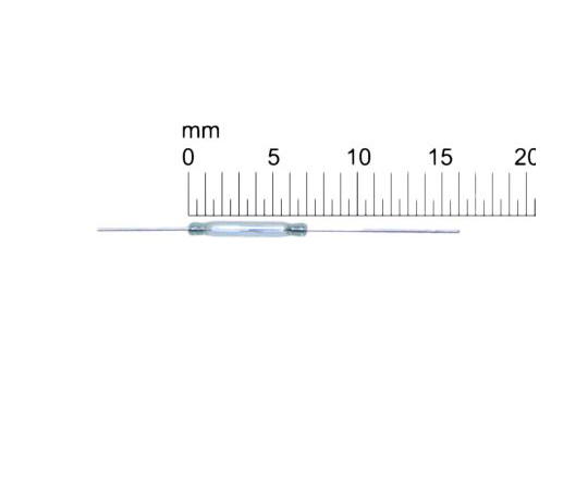 リードスイッチ 1袋（10個入）