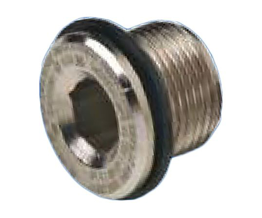 ブランキングプラグ