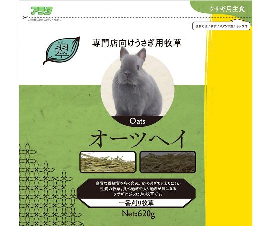 取扱を終了した商品です 翠 オーツヘイ 6g 64 2304 44 Axel アズワン 取扱を終了した商品です 翠 オーツヘイ 6g 64 2304 44 Axel アズワン