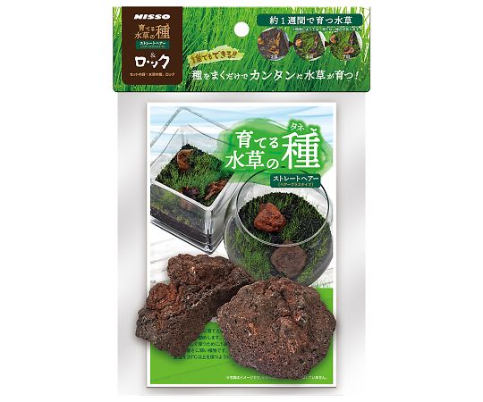 育てる水草の種　ストレートヘアー＆ロック