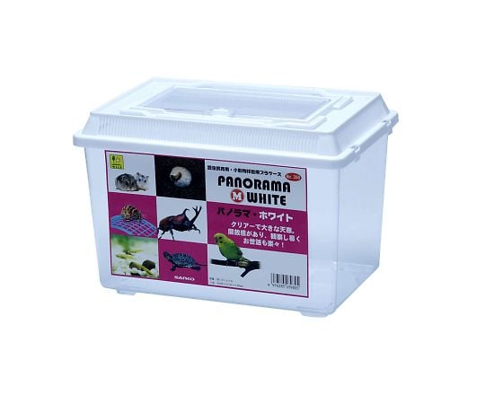 パノラマ　M　ホワイト