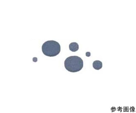 交換用フリット　1/8"　2μm　ハステロイC　10枚入　2FR2HC-10