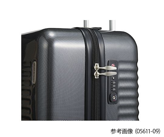 64-3927-41 WorldTraveler ナタドラ 31L 05611-13 【AXEL】 アズワン