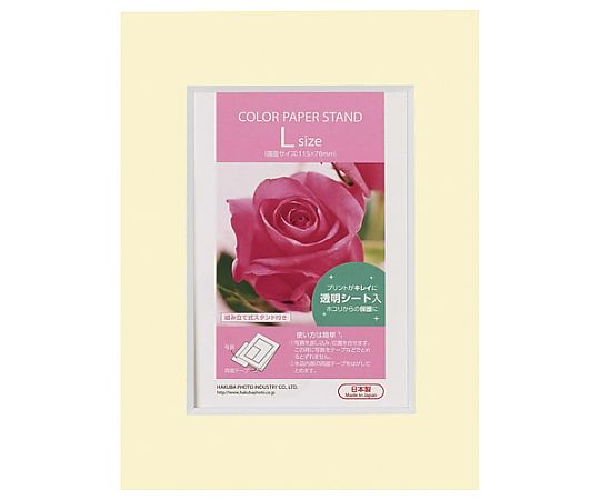 カラーペーパースタンドL　クリーム