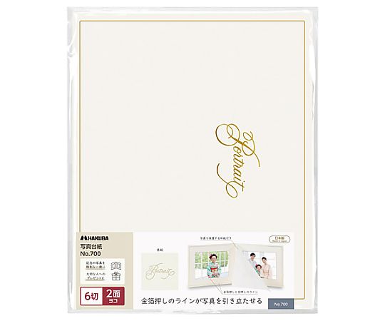 普通台紙　NO.700　6切　2面　ヨコ