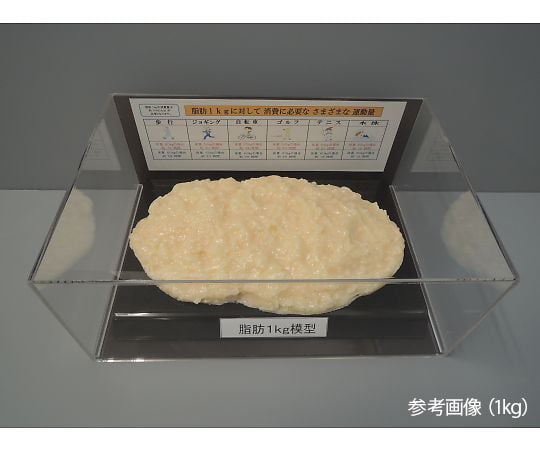 脂肪　模型　3kg イワイサンプル 脂肪の塊(3kg) SI-030 1個 24-4514-03（直送品