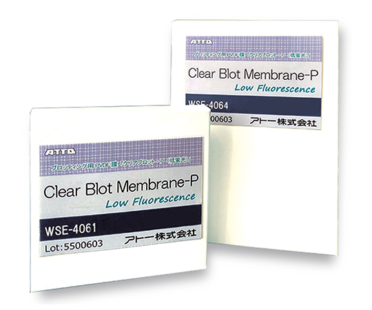ブロッティング用PVDF膜「クリアブロット・P膜（低蛍光）」 1箱（10枚入）