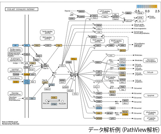 受託解析サービス 遺伝子発現解析 アズワン 殿町ラボ Axel アズワン