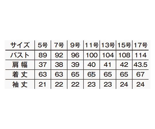 レディスレギュラーカラー半袖ブラウス　ブラウン　11G　FB4036L-5 11G