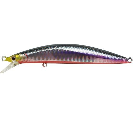 現在受注を停止している商品です アスリートプラス 105fvg Srk セグロカタクチ 64 4343 68 Axel アズワン 現在受注を停止している商品です アスリートプラス 105fvg Srk セグロカタクチ 64 4343 68 Axel アズワン