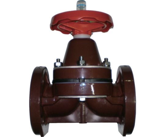 ダイヤフラム　本体：HT　隔膜：EPDM　10Kフランジ100A