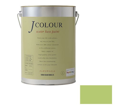 Jカラー　ティーグリーン