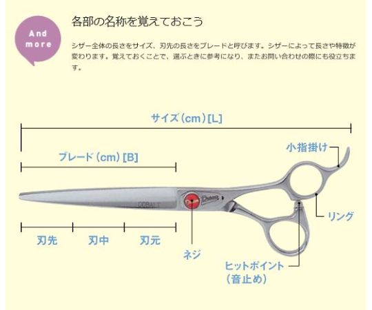 KD セニングシザー ステンレス製