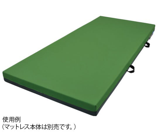 メリー＆ハリー　900　専用カバー