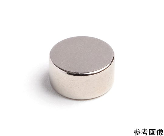 ネオジム Φ12×1.1（N45H）50個入