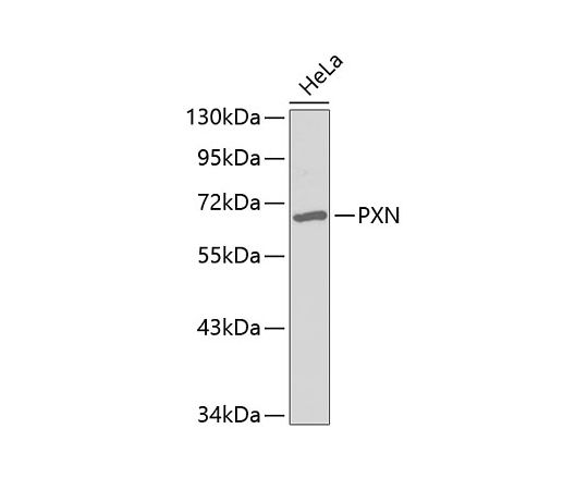 AT508K Soft Jaw Connector Plier DMC BT-SJ-468