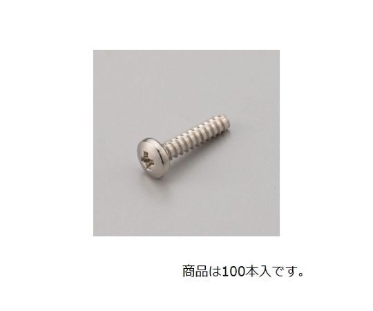 2.6-12BHタッピングビス (100本入り)
