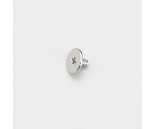 2.6-4フラットヘッドビス(100本入り)