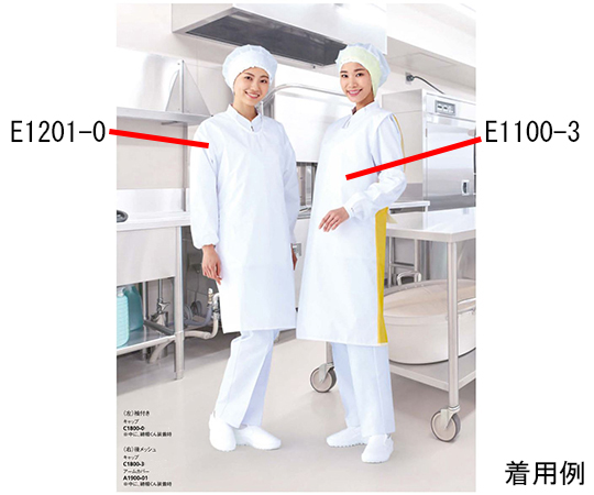 センシア(R)エプロン 袖付 ひもタイプ ホワイト E1201-0H｜アズ