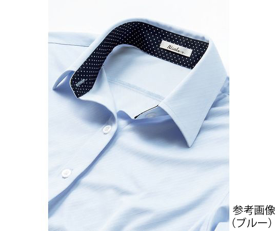 長袖ブラウス　ブルー　21G　RB4159-6 21G