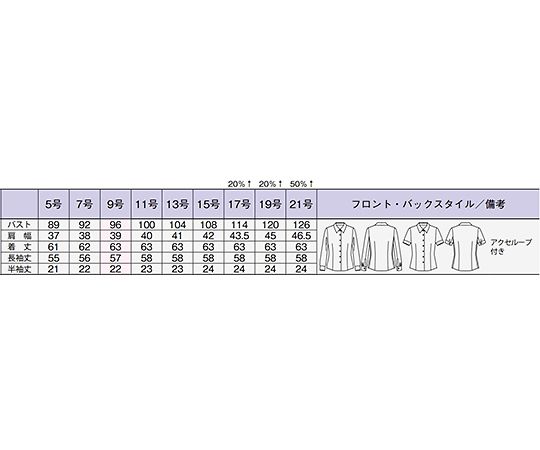 長袖ブラウス　ブルー　21G　RB4165-6 21G