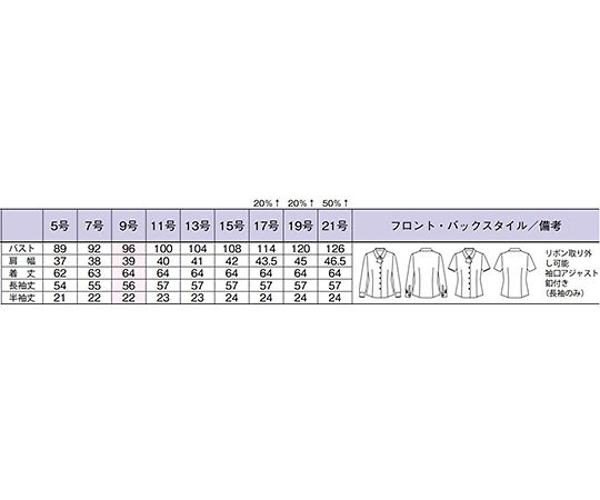 長袖ブラウス　ブルー　15G　RB4170-6 15G
