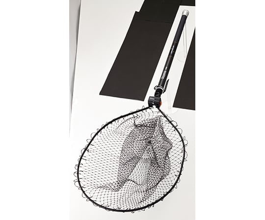 ライティングネット