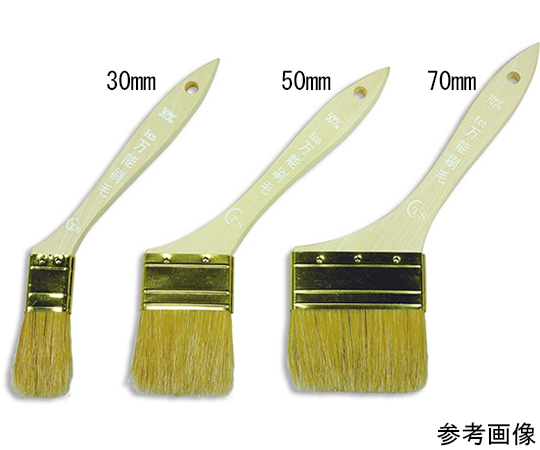 Eco万能刷毛　50mm　12本入