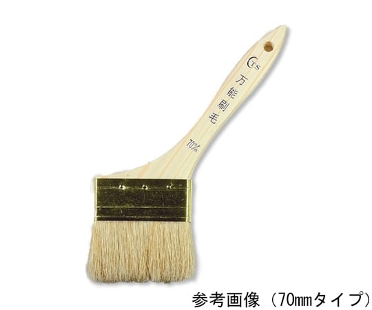 TS　万能刷毛　50mm　12本入