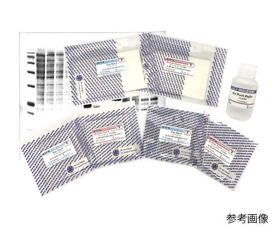 セミドライブロッティング用トランスファーパック　「QBlot kit M」　10回分