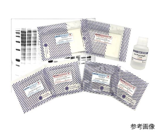 セミドライブロッティング用トランスファーパック　「QBlot kit W」　6回分