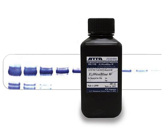 HRP用発色基質　「EzWestBlue W」