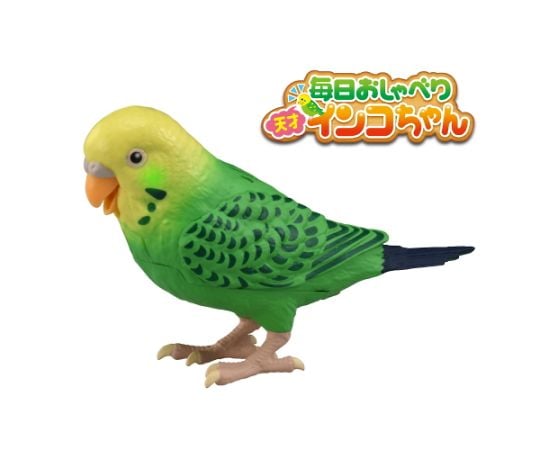 64-7703-62 毎日おしゃべり 天才インコちゃん 【AXEL】 アズワン