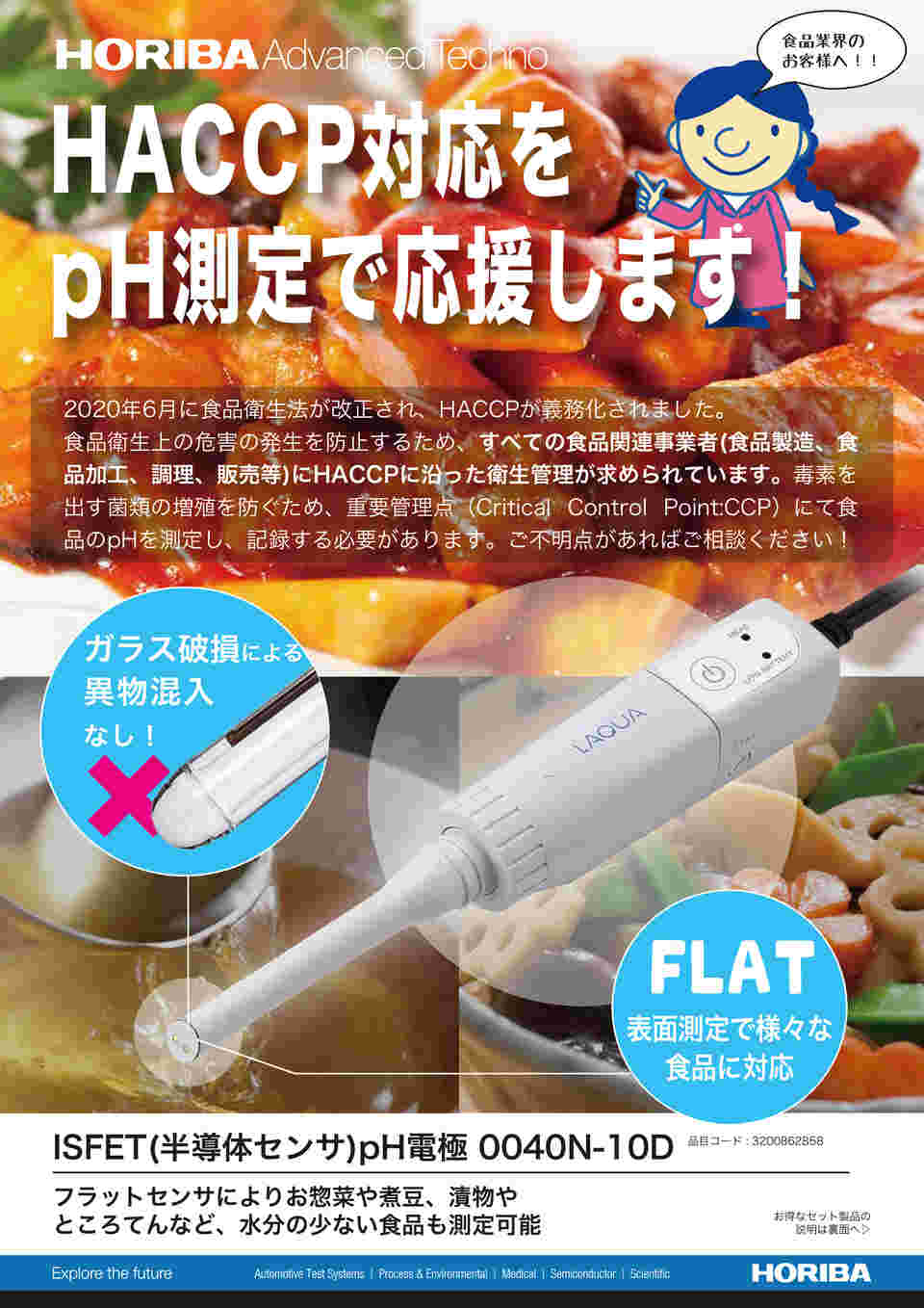 □堀場 フラット ISFET pH電極 0040-10D 3200367925(8382986)[送料別途