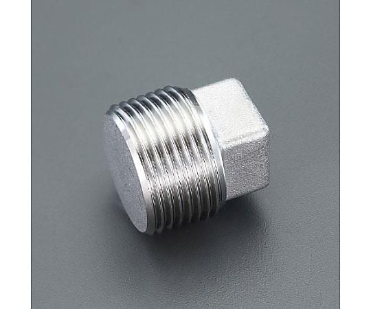 R 3/4"  プラグ(ｽﾃﾝﾚｽ製)