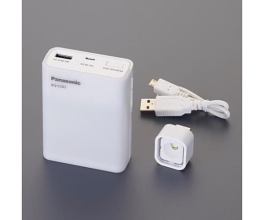 [単3･単4] 電池充電器(USB入出力付)